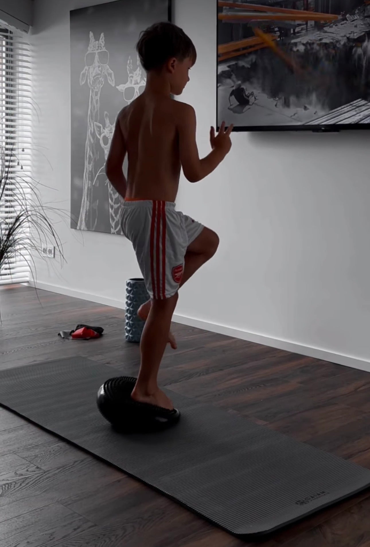 Premium Balance Cushion + FREE resistance band set