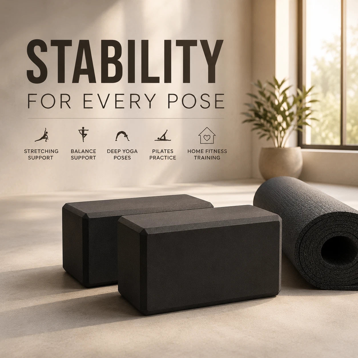 Yoga Blocks (2pcs)